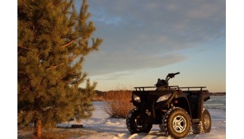 Мотоцикл Плохо Набирает Скорость Годовая Гарантия… Химическая обработка Мотоцикл Плохо Набирает Скорость Годовая Гарантия… Химическая обработка