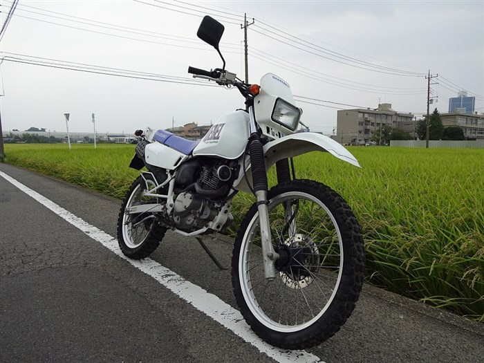 Сколько Стоит Мотоцикл Эндуро 250 Куб Suzuki djebel 250 Сколько Стоит Мотоцикл Эндуро 250 Куб Suzuki djebel 250